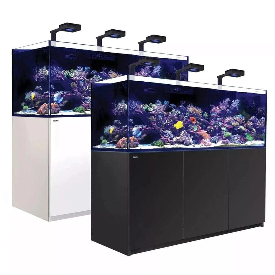 Reefer MAX 750 G2+ System (160 Gal) Reef Lounge Coral 