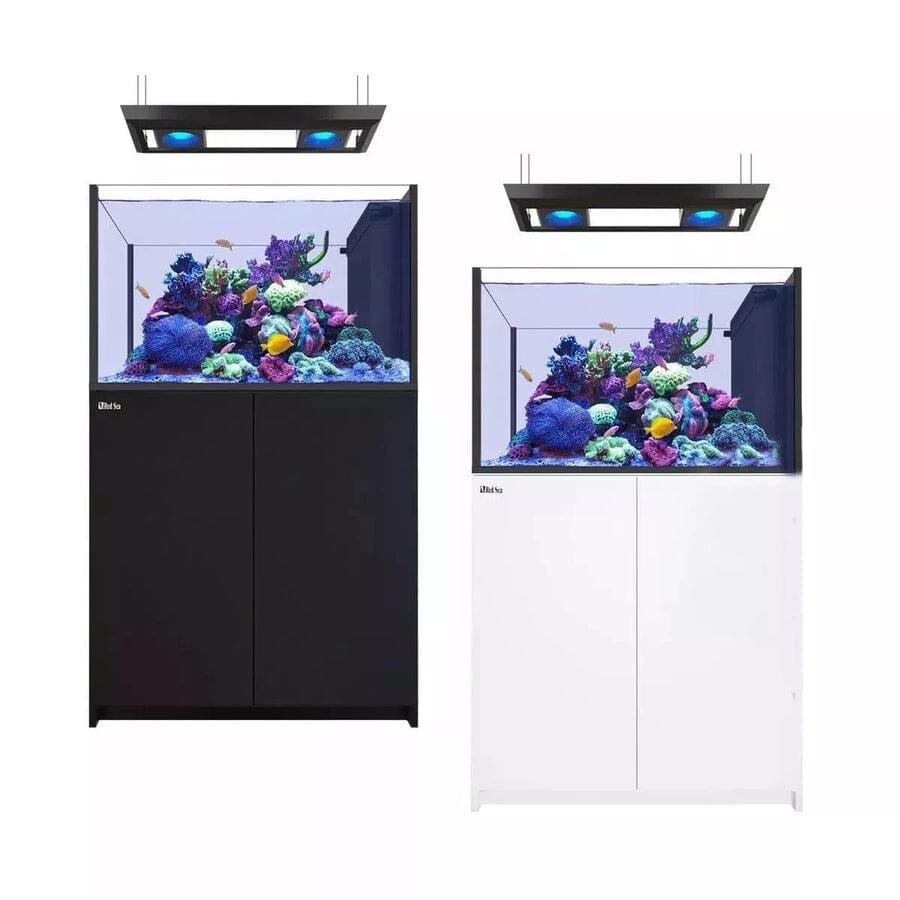 Reefer MAX Peninsula 350 G2+ System (73 Gal) Reef Lounge Coral 