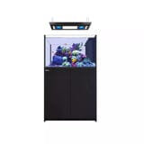 Reefer MAX Peninsula 350 G2+ System (73 Gal) Reef Lounge Coral 