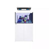 Reefer MAX Peninsula 350 G2+ System (73 Gal) Reef Lounge Coral 