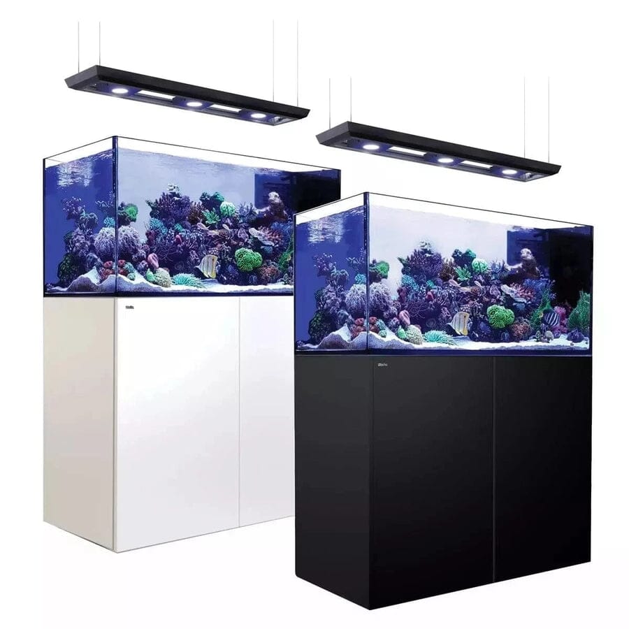 Reefer MAX Peninsula 500 G2+ System (109 Gal) Reef Lounge Coral 