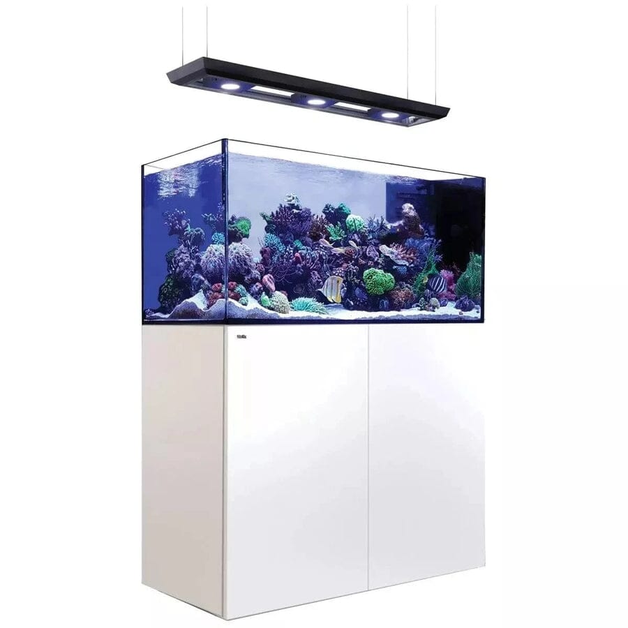 Reefer MAX Peninsula 500 G2+ System (109 Gal) Reef Lounge Coral 