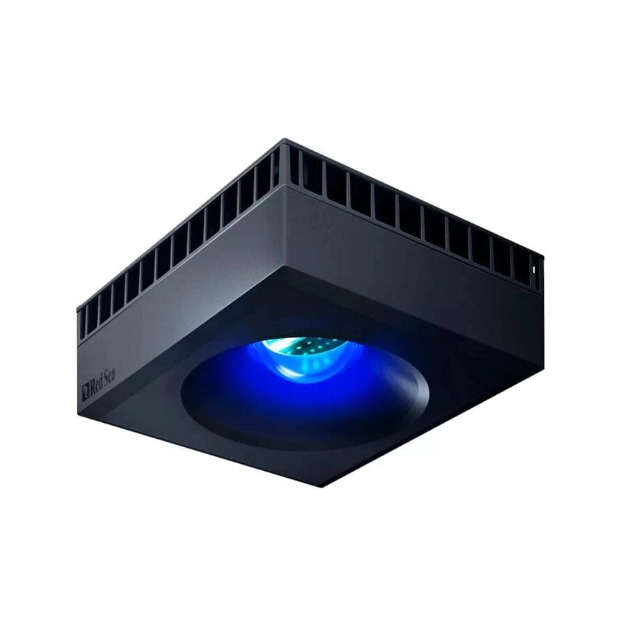 Reefer MAX Peninsula S-700 (G2+) System (150 Gal) Reef Lounge Coral 
