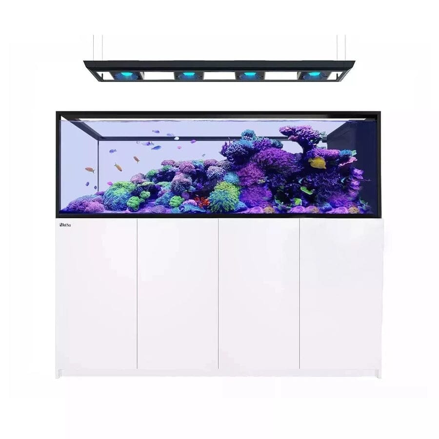 Reefer MAX Peninsula S-950 G2+ System (200 Gal) Reef Lounge Coral 