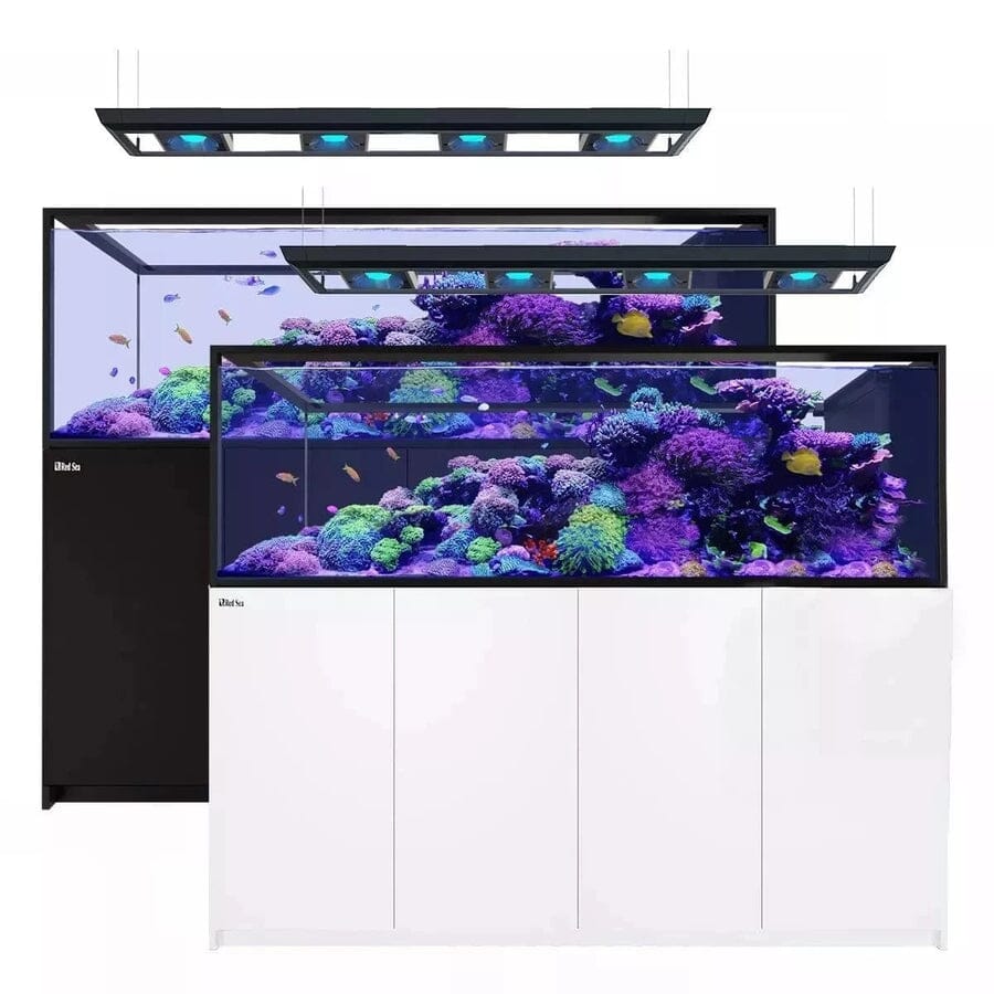 Reefer MAX Peninsula S-950 G2+ System (200 Gal) Reef Lounge Coral 