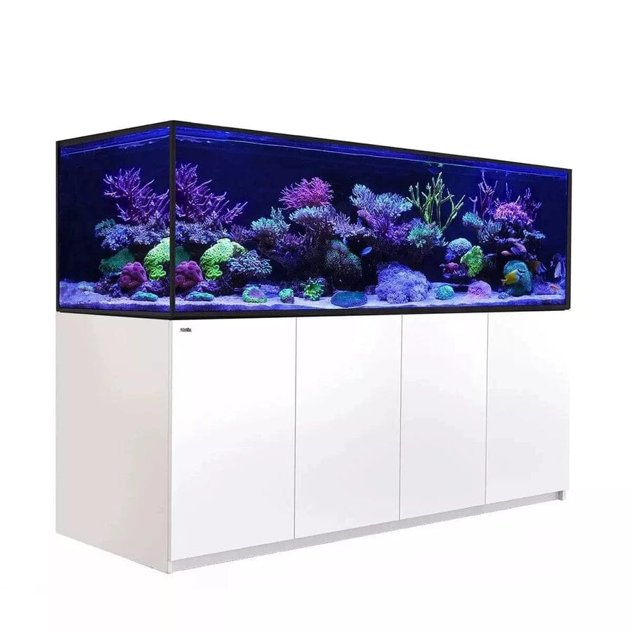 Reefer MAX S-1000 G2+ System (210 Gal) Reef Lounge Coral 