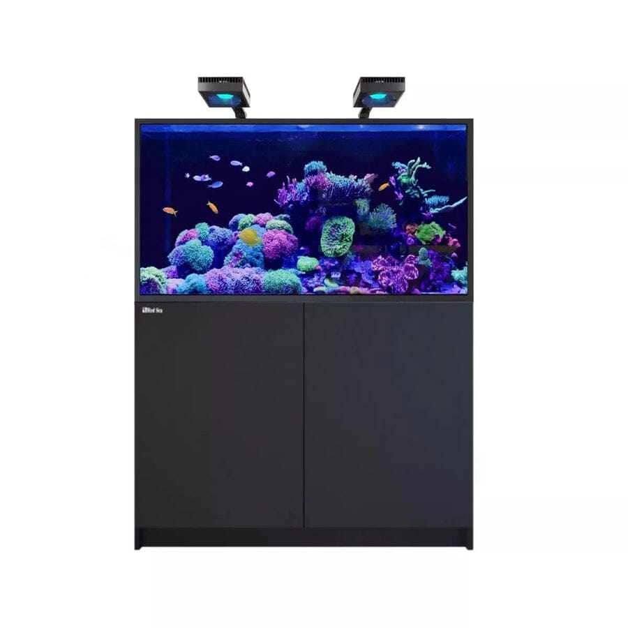 Reefer MAX S-550 G2+ System (118 Gal) Reef Lounge Coral 