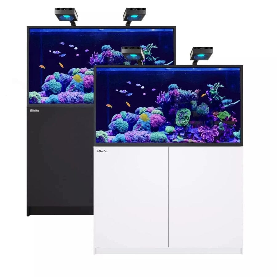 Reefer MAX S-550 G2+ System (118 Gal) Reef Lounge Coral 