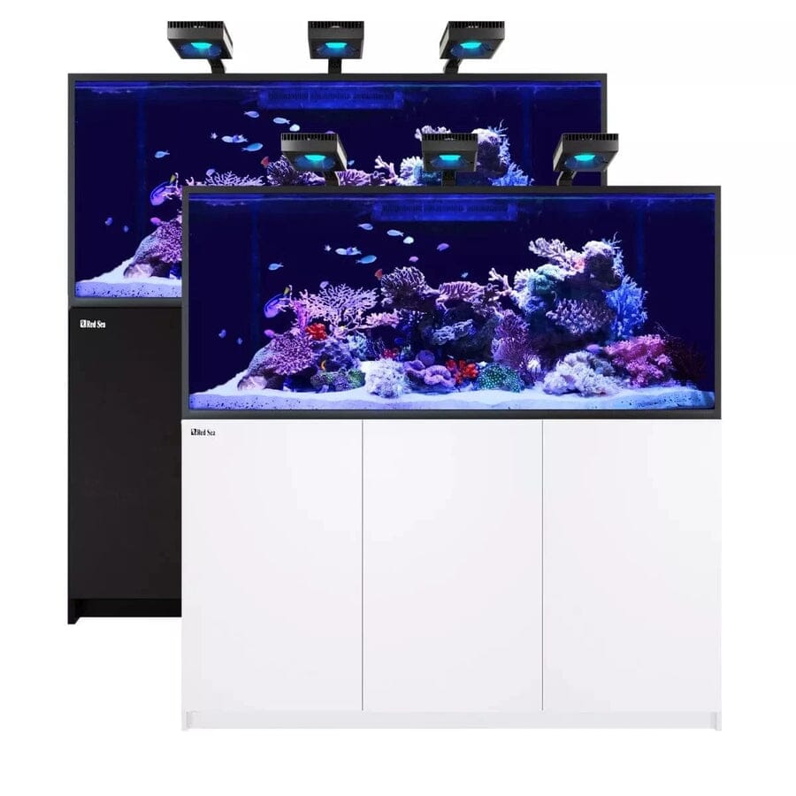 Reefer MAX S-700 G2+ System (149 Gal) Reef Lounge Coral 