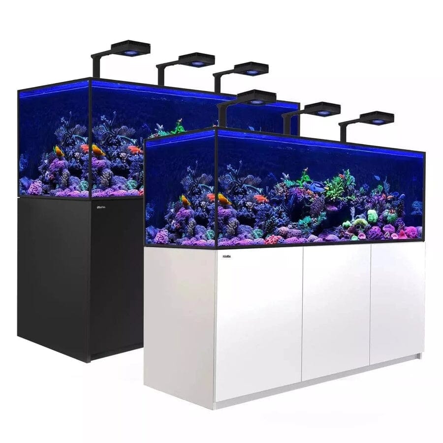 Reefer MAX S-850 G2+ System (180 Gal) Reef Lounge Coral 